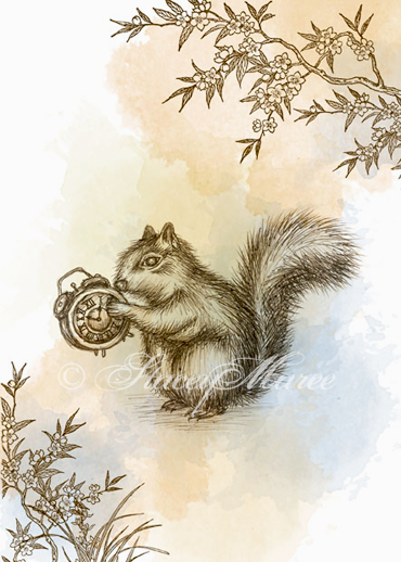 Stacey Maree - Squirrel - Artwork Illustration